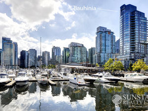Coal Harbour 2 Bed 2 Bath 1190sf View Condo w/ Fireplace @ Bauhinia